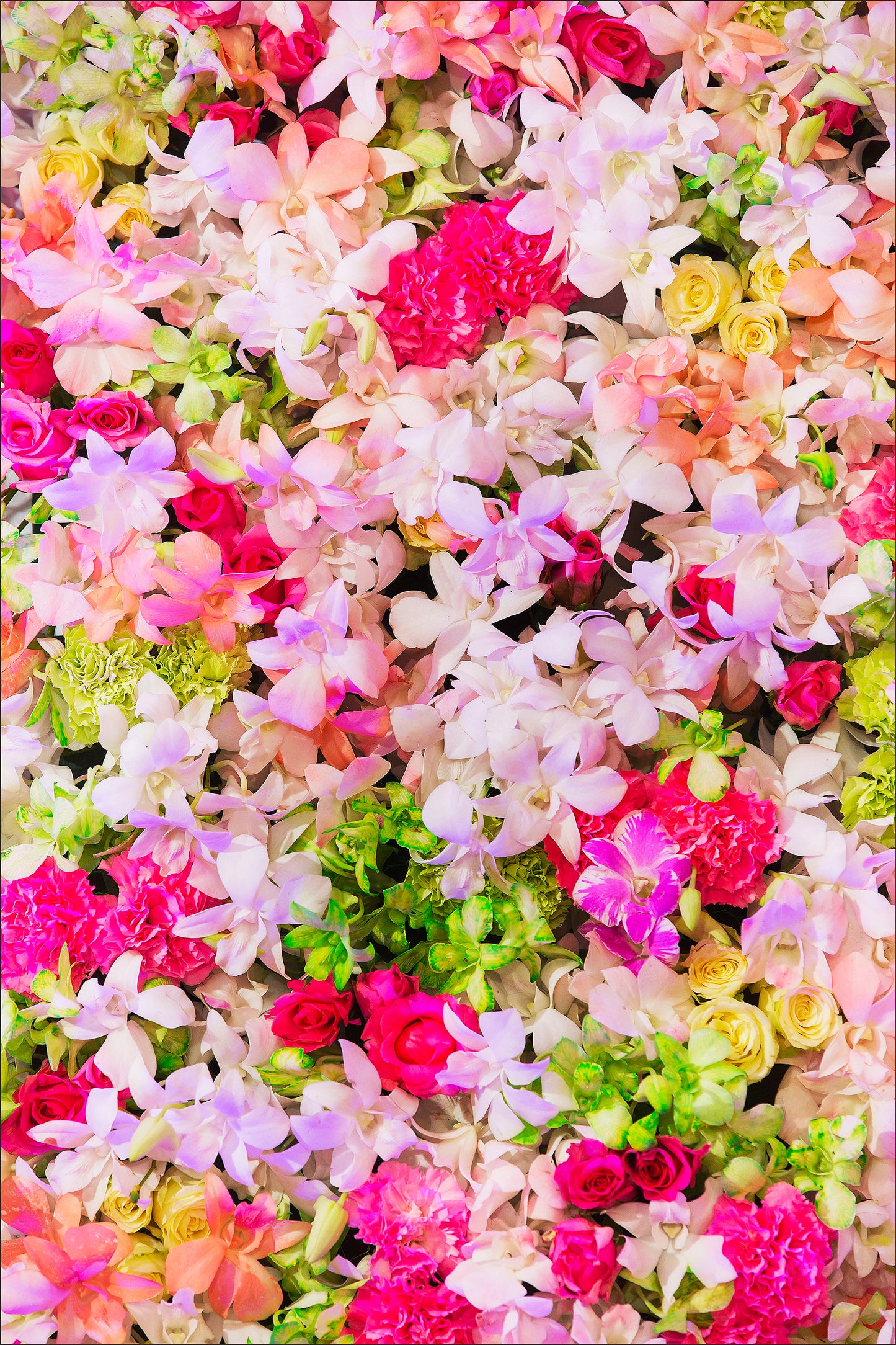 Vertical - Flores #4