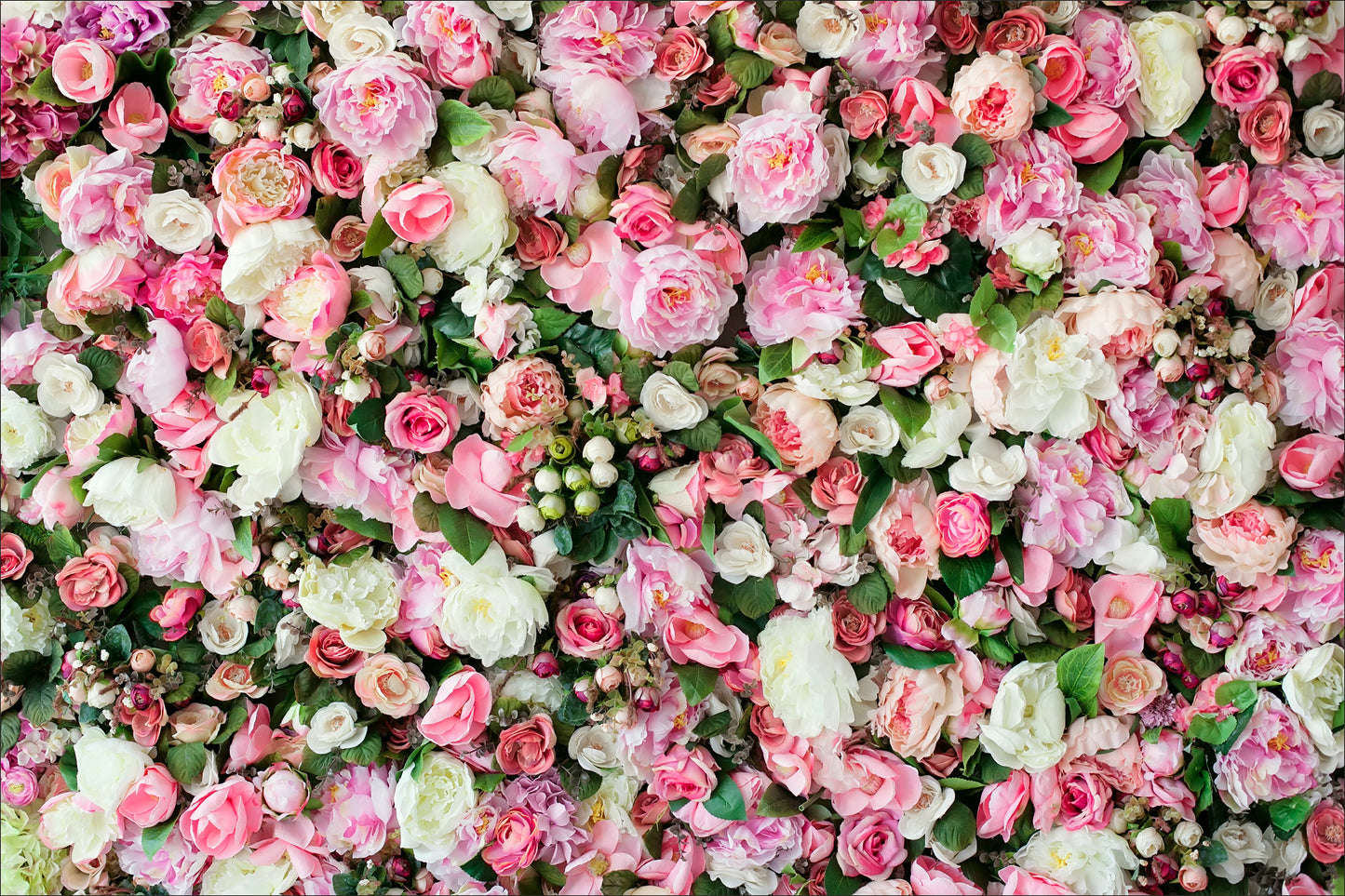 Naturaleza - Floral #21