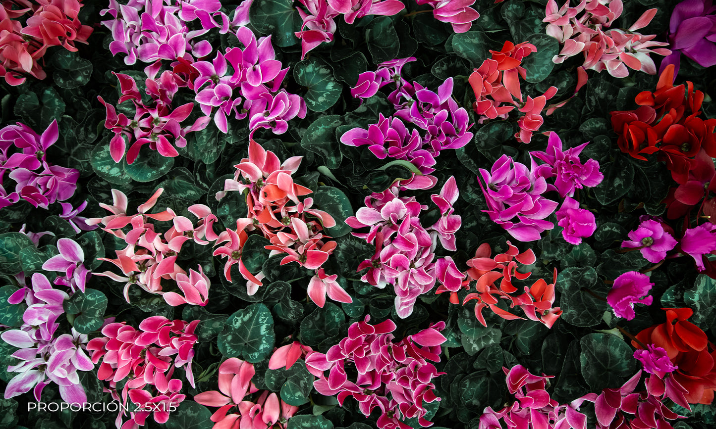 Naturaleza - Floral #31