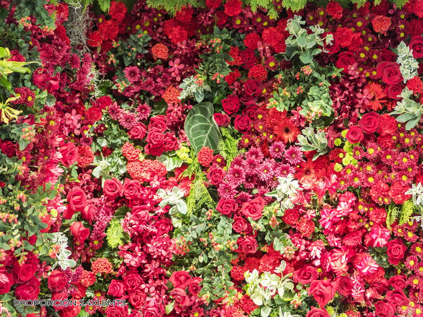 Naturaleza - Floral #3
