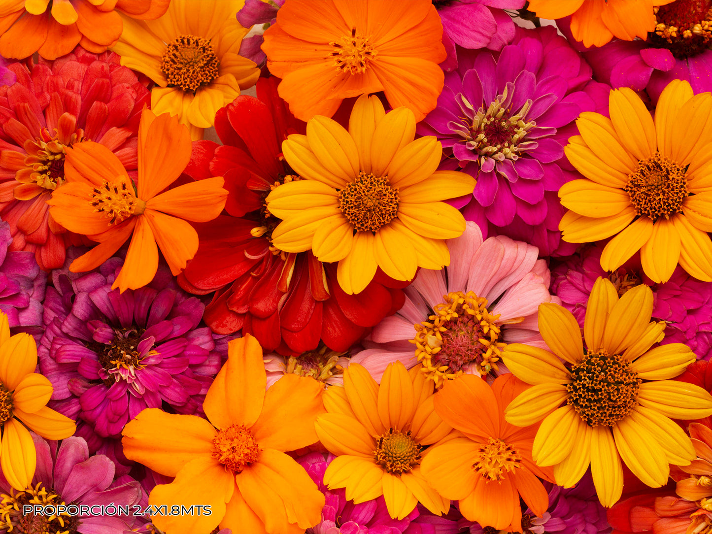 Naturaleza - Floral #9