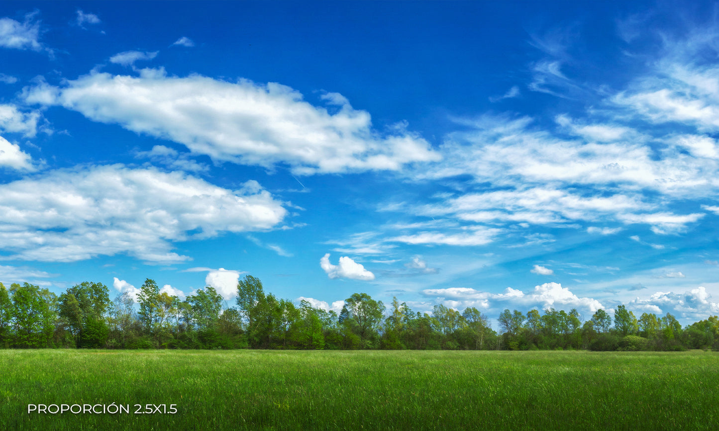 Paisaje - Campo #6