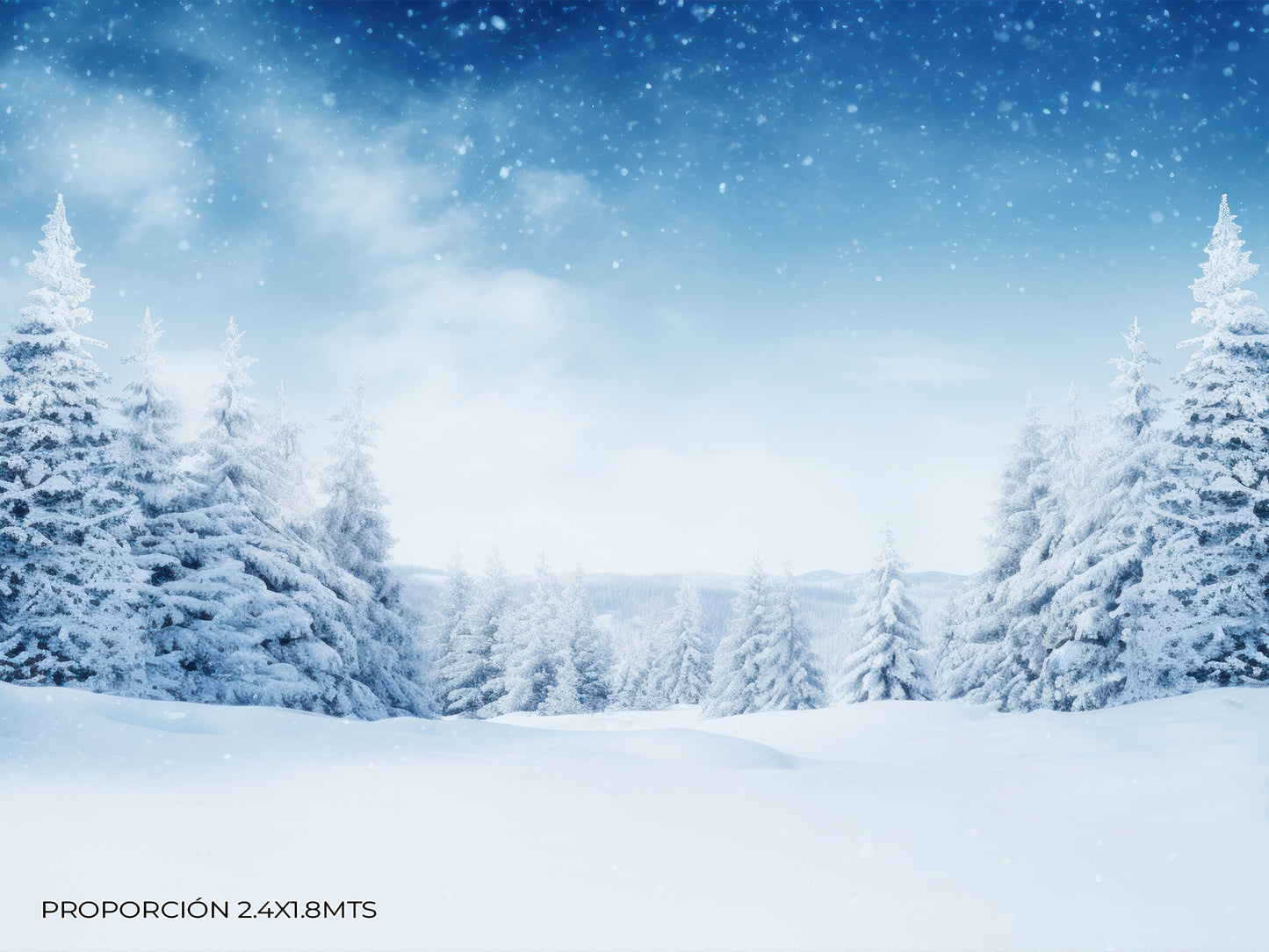 Paisaje - Invierno #10