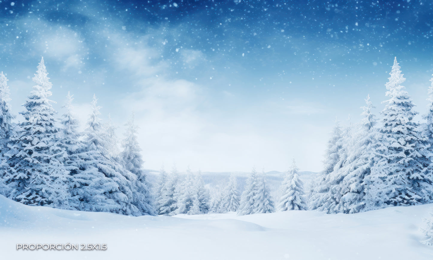 Paisaje - Invierno #10