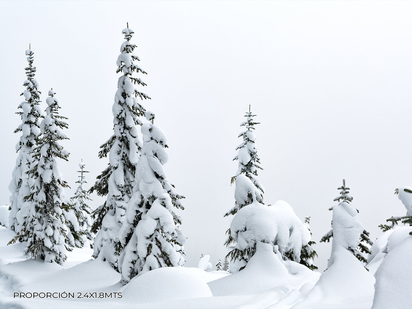 Paisaje - Invierno #6