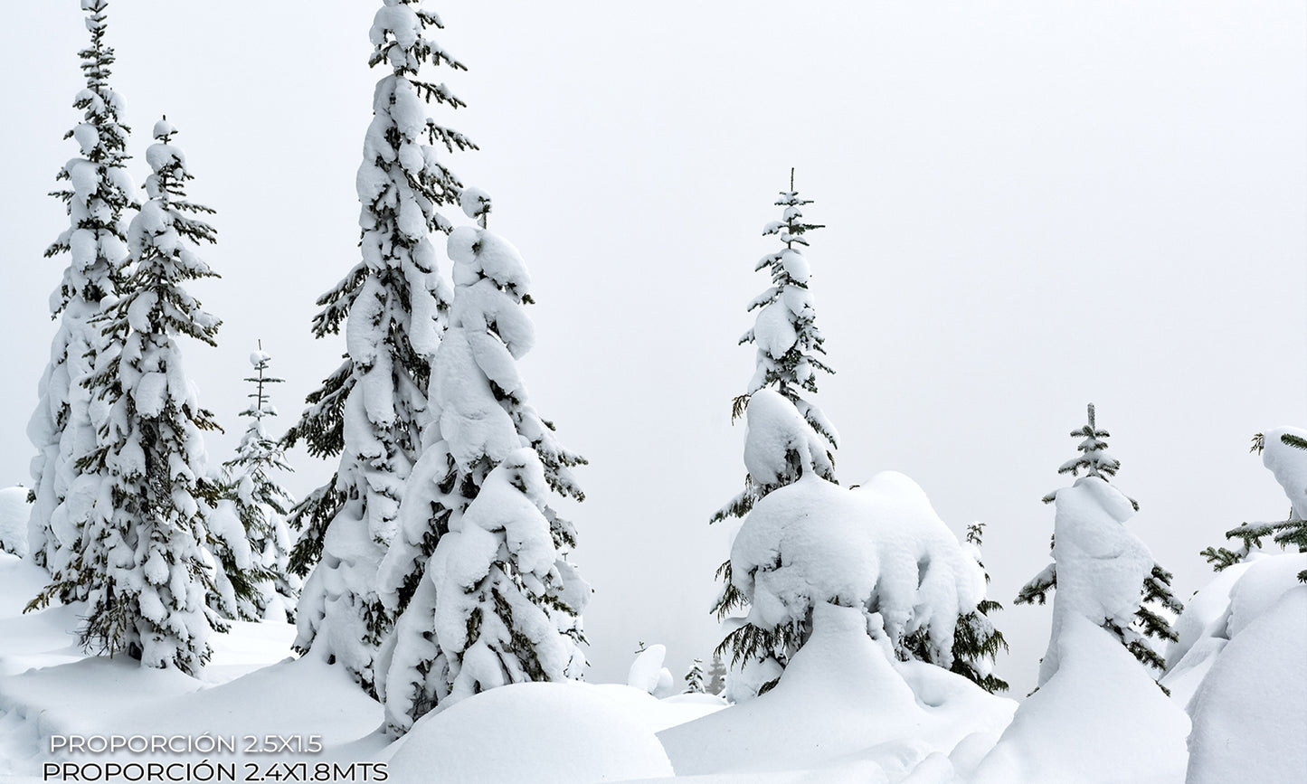 Paisaje - Invierno #6