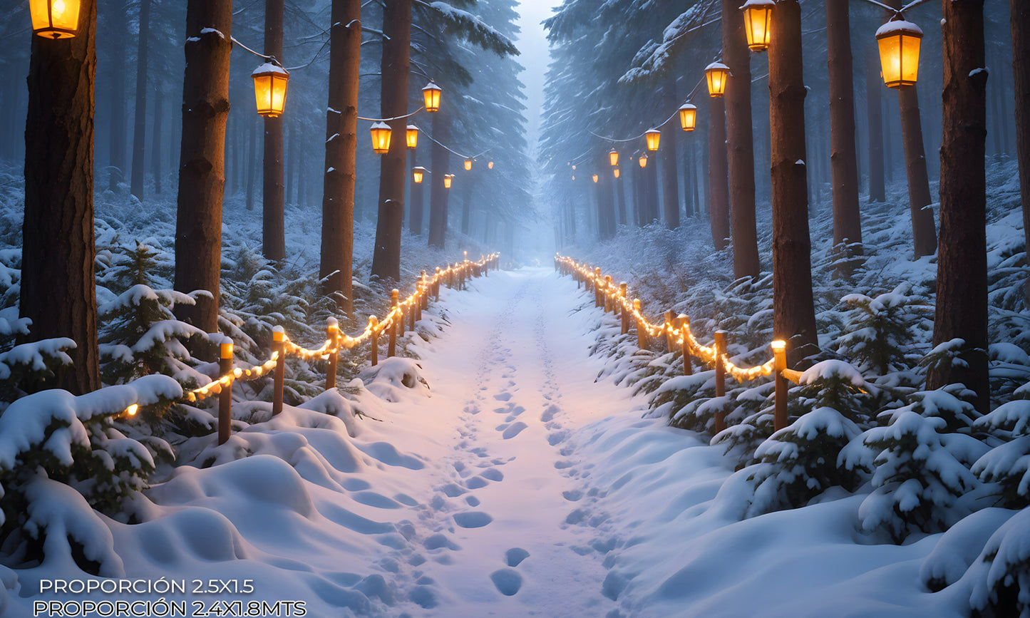 Paisaje - invierno #8
