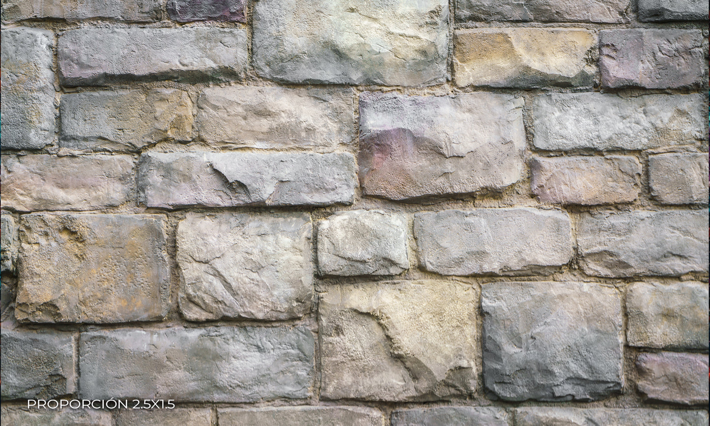 Pared - Ladrillo #10
