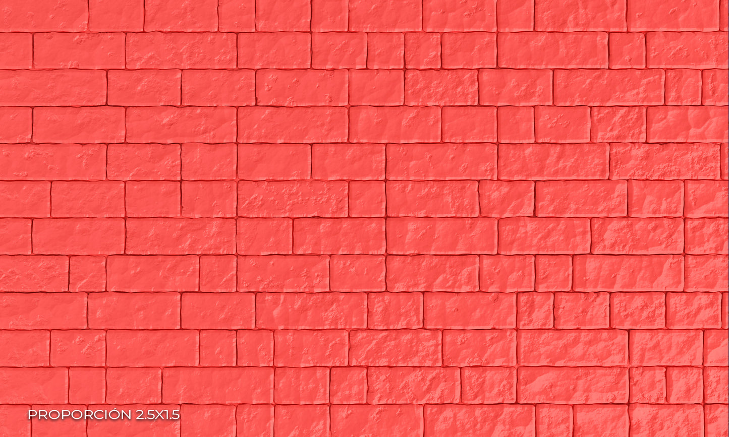 Pared - Ladrillo #24