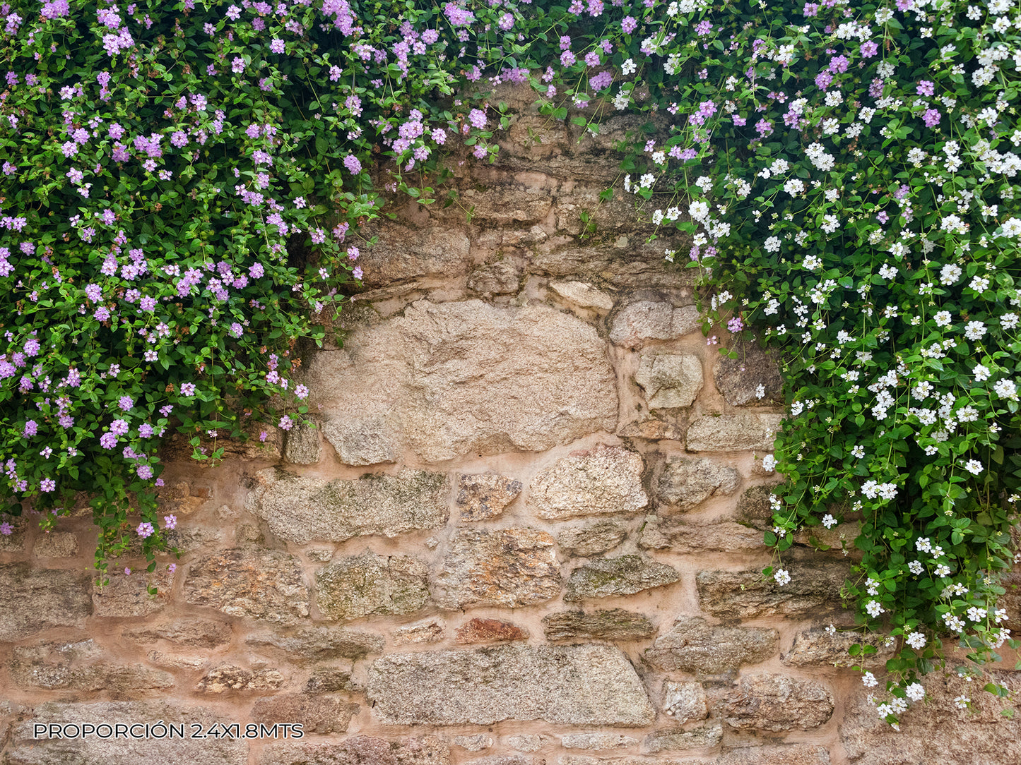 Pared - Naturaleza #4