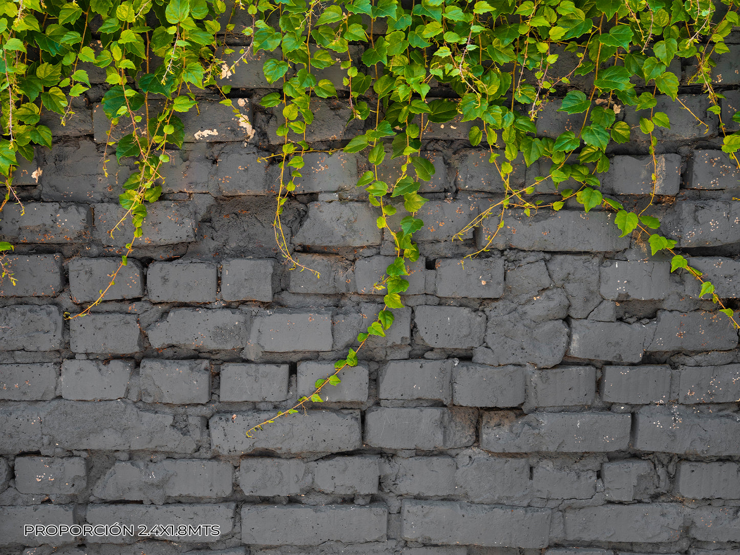 Pared - Naturaleza #6