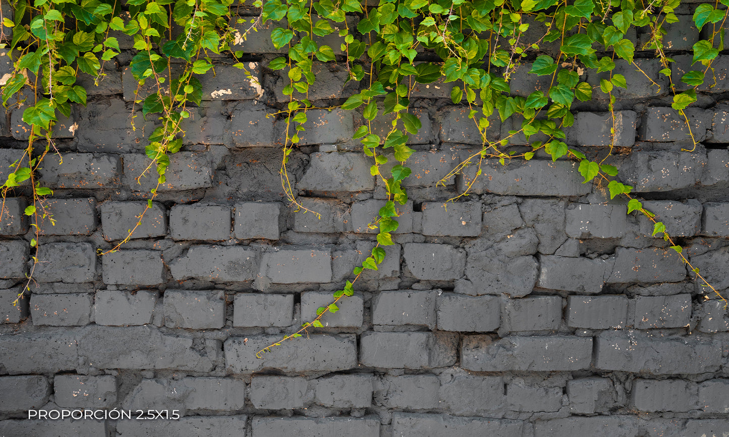 Pared - Naturaleza #6