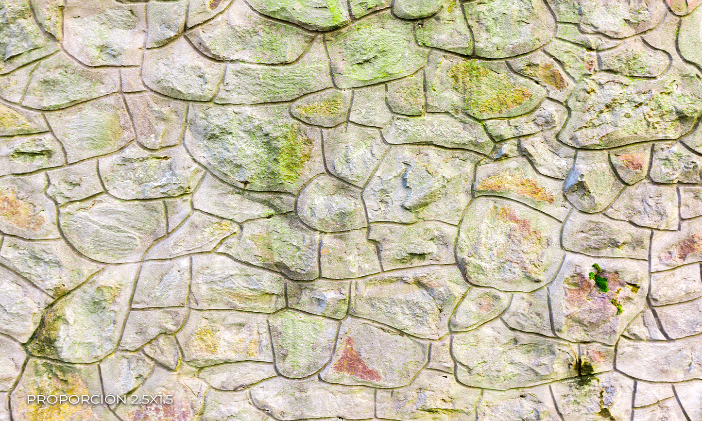 Pared - Piedra #1