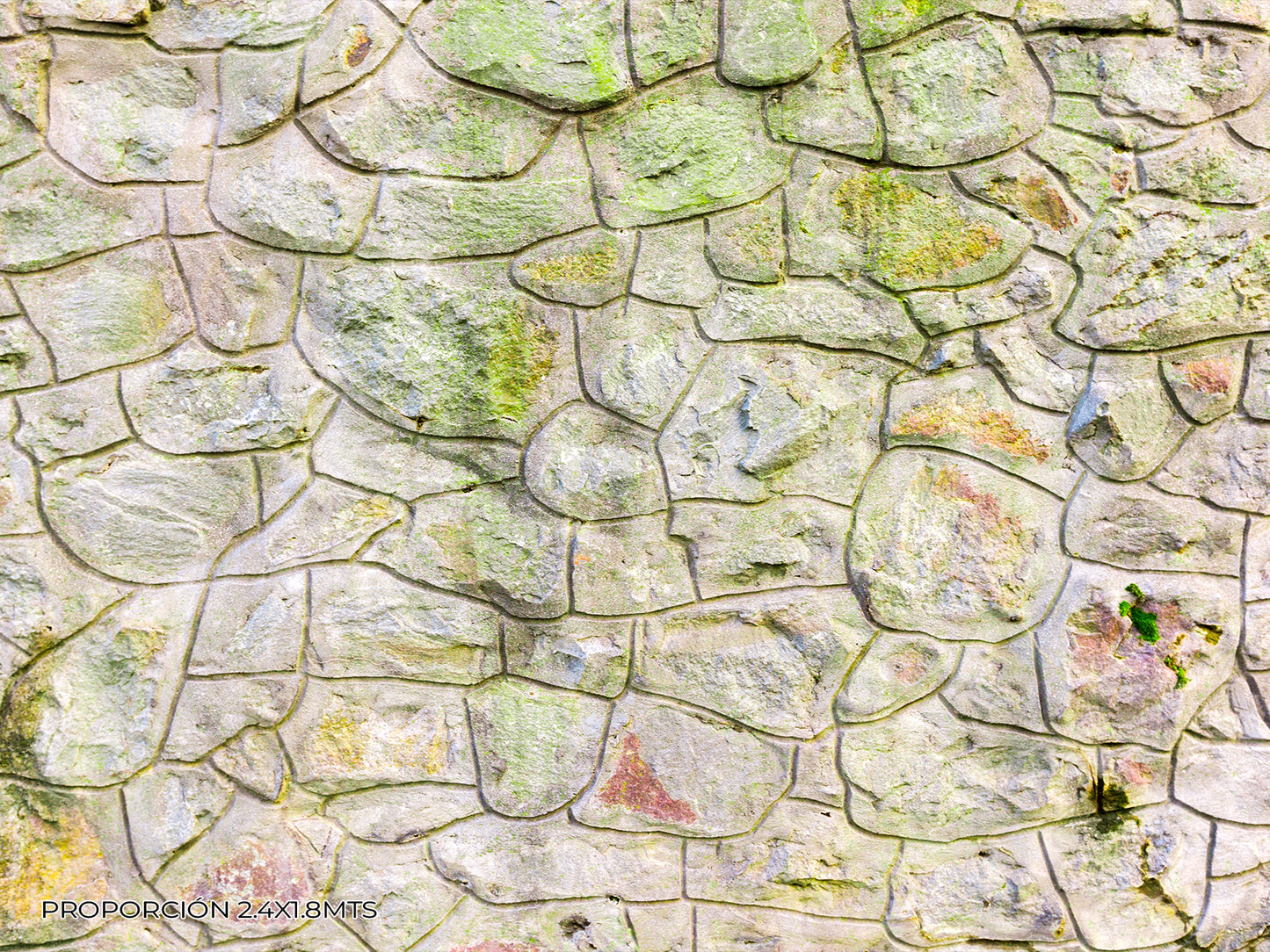 Pared - Piedra #1