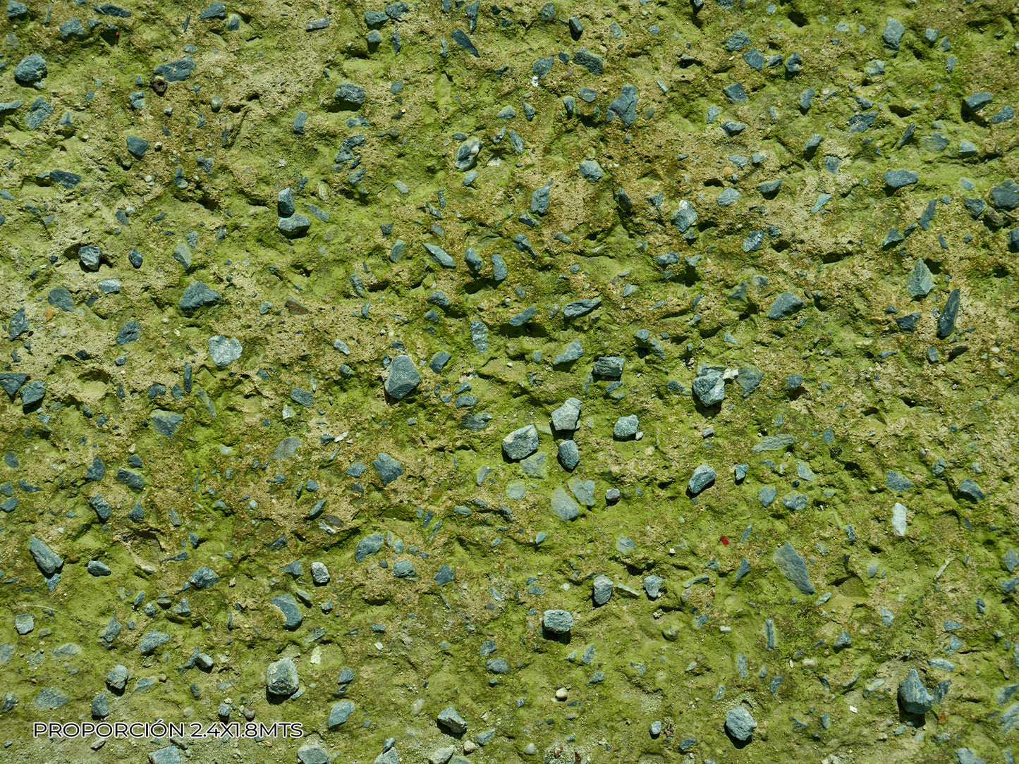 Piso - Naturaleza #1