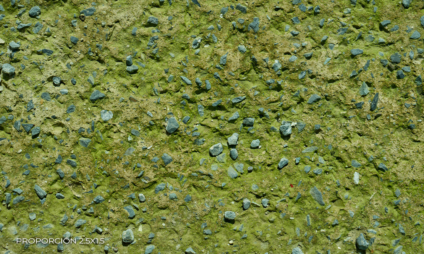 Piso - Naturaleza #1
