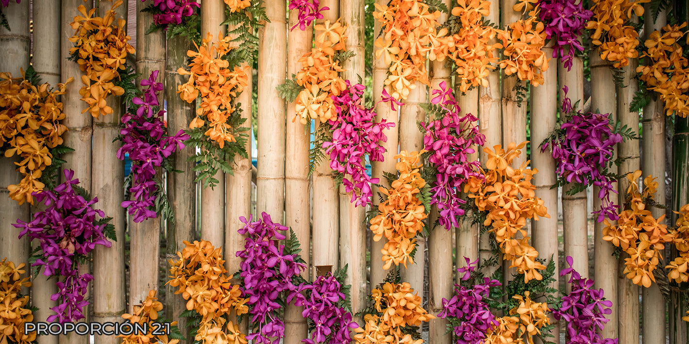 Flores - Decoración #36
