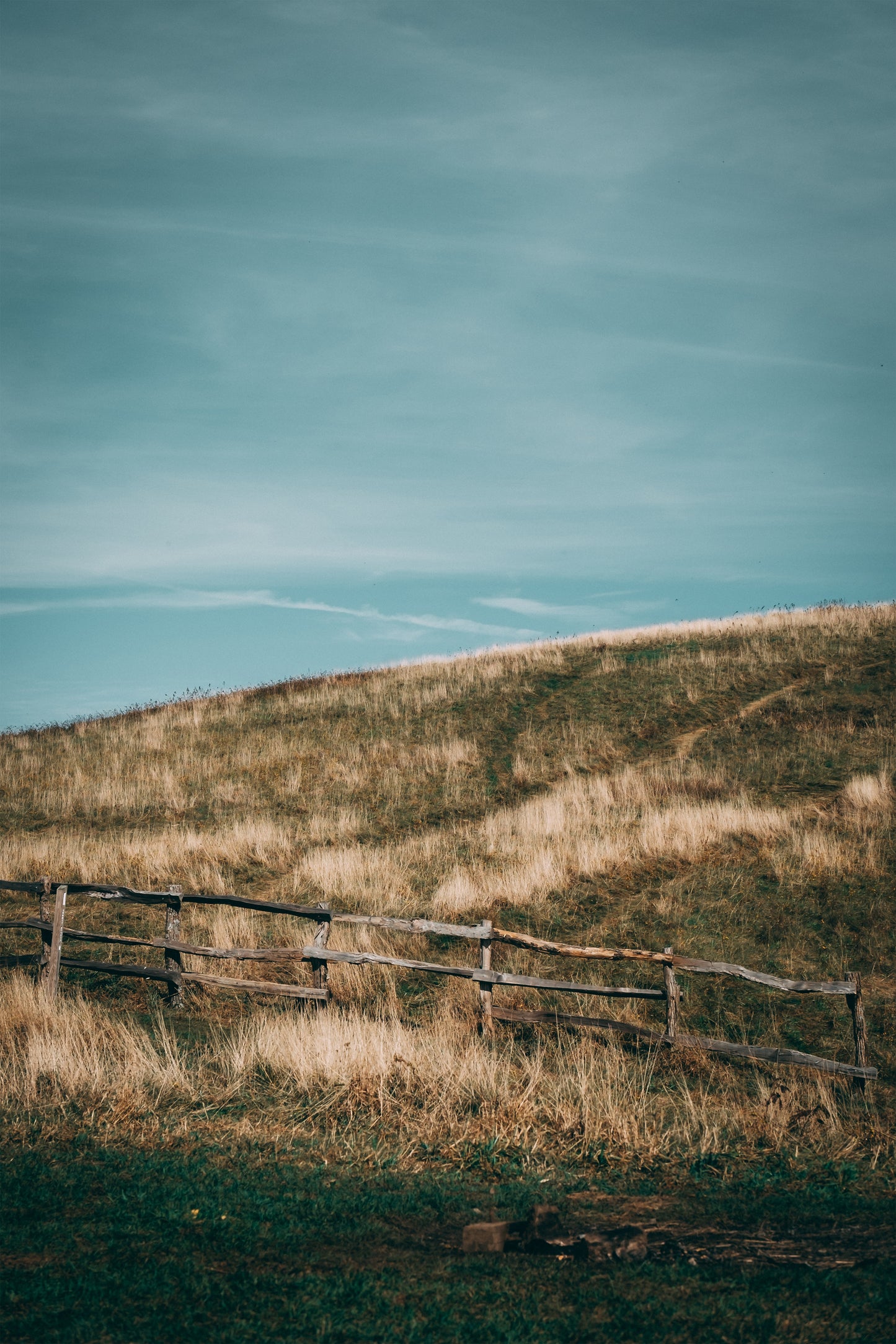 Vertical - Paisaje #4