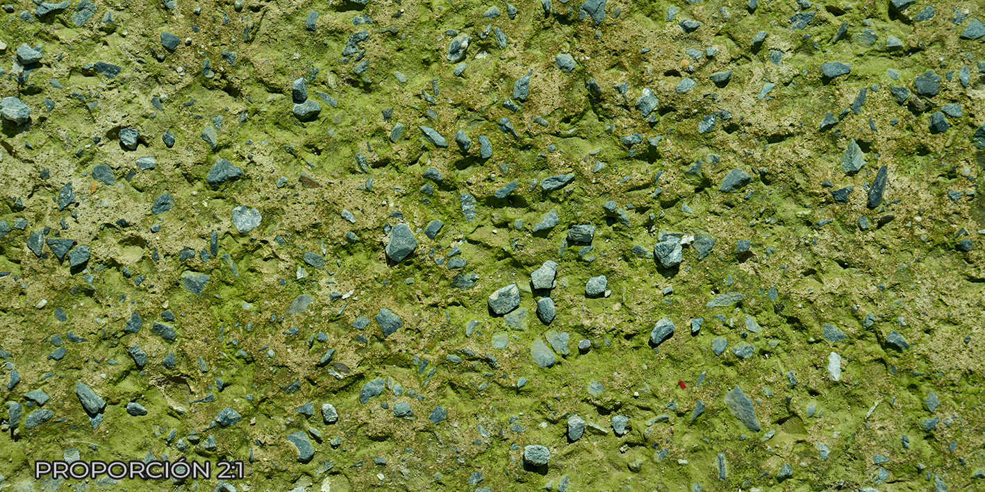 Piso - Naturaleza #1