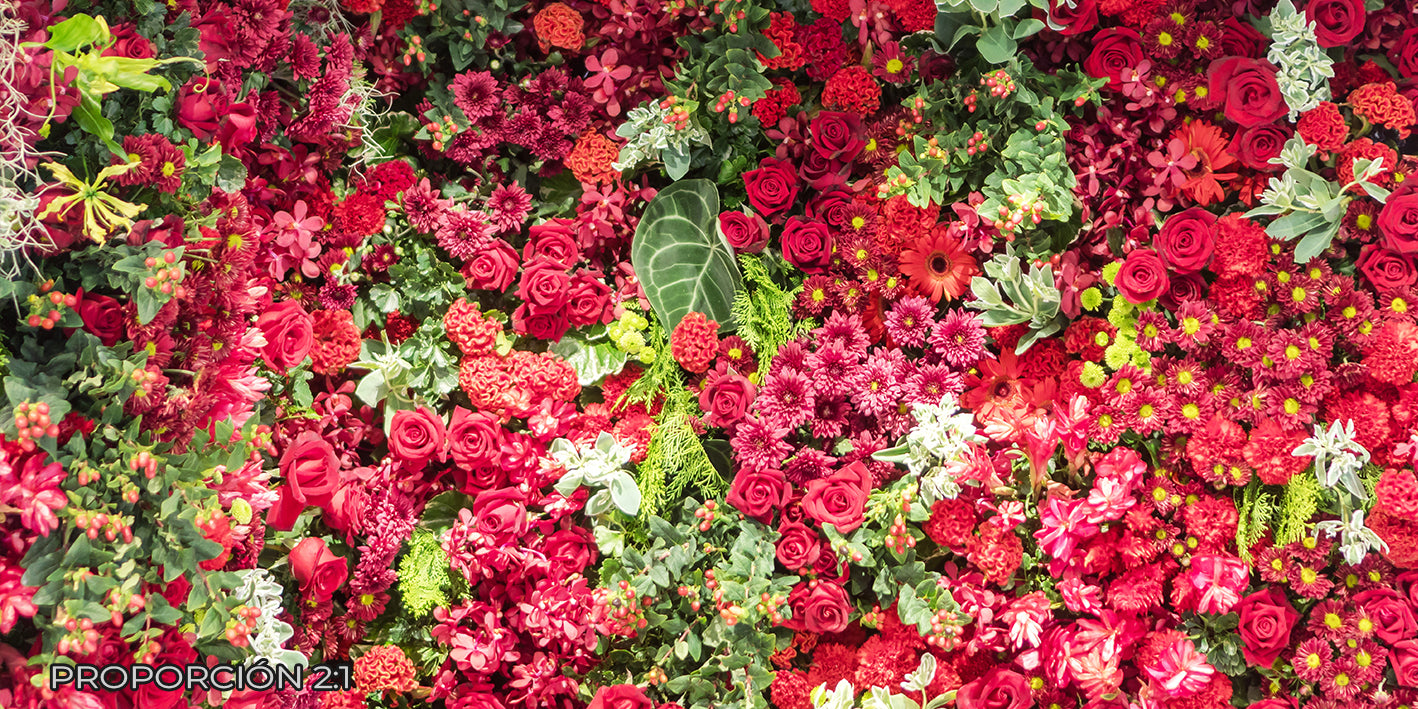 Naturaleza - Floral #3