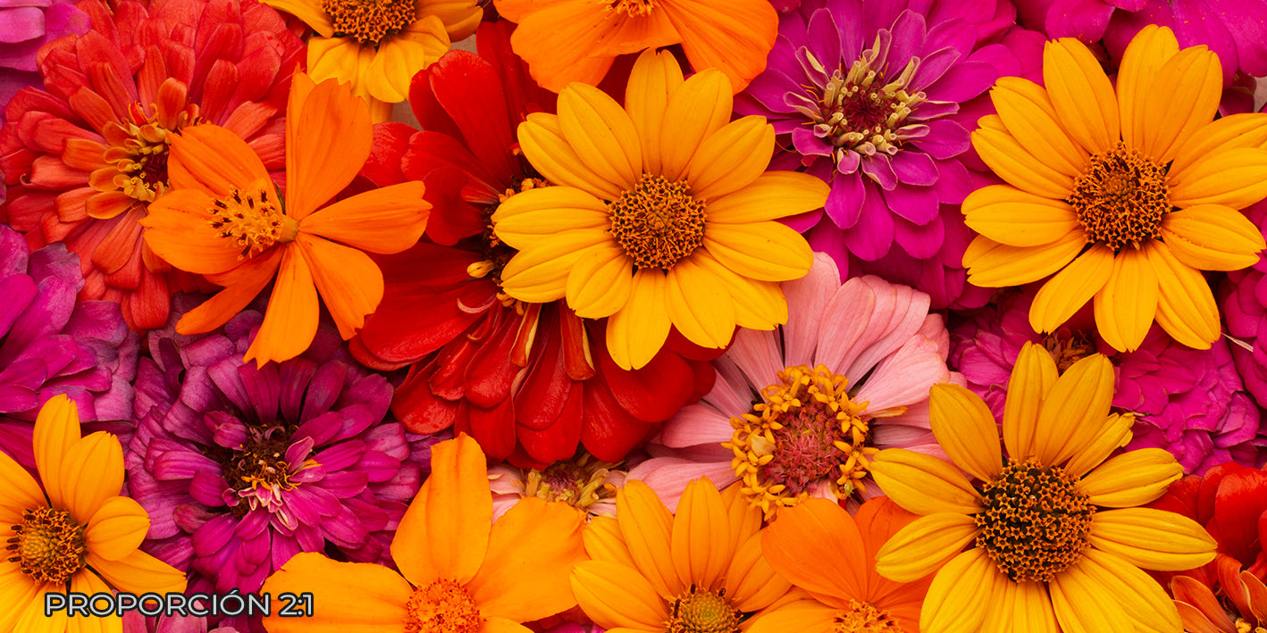 Naturaleza - Floral #9