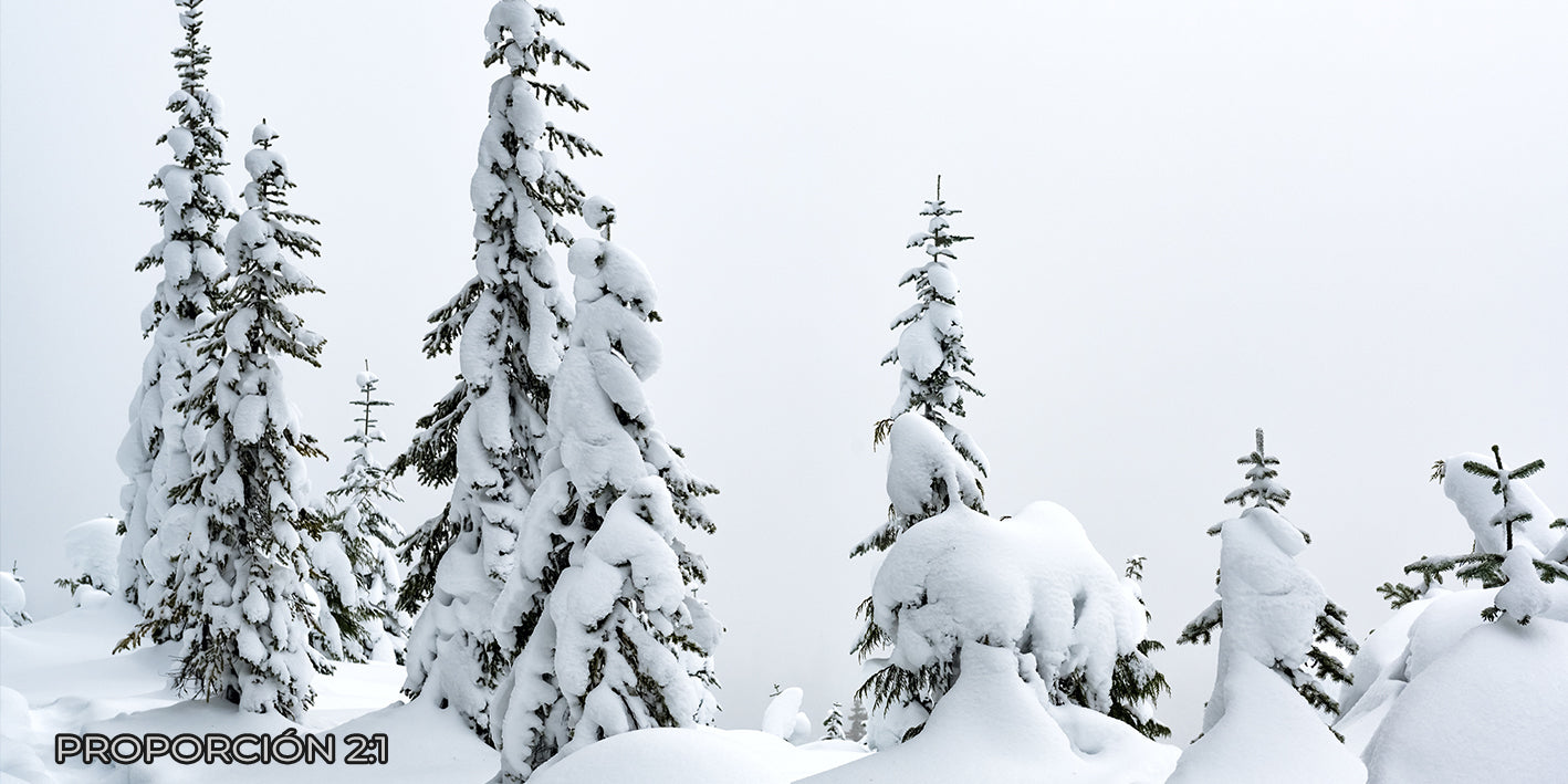 Paisaje - Invierno #6
