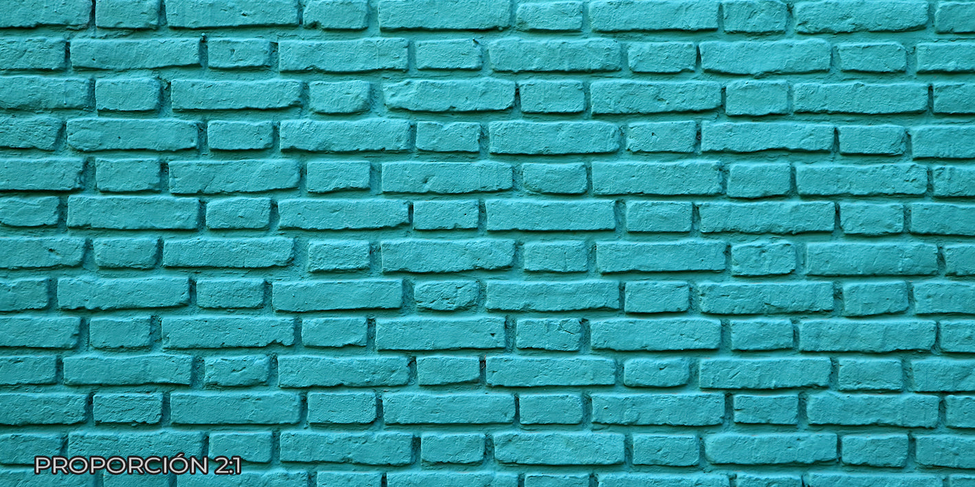 Pared - Ladrillo #22