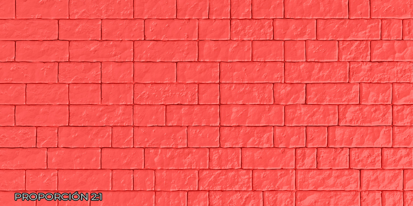 Pared - Ladrillo #24