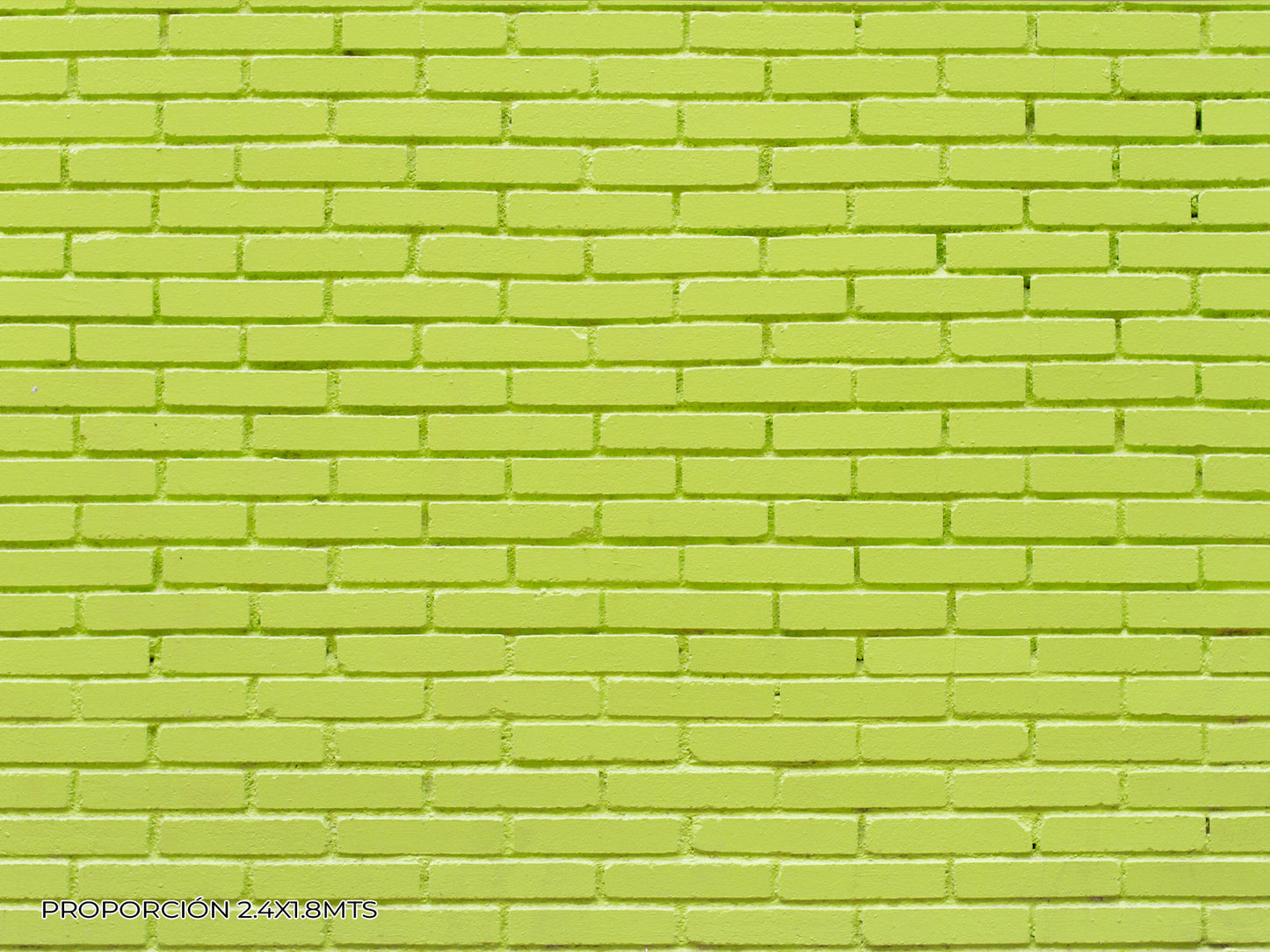 Pared - Ladrillo #25