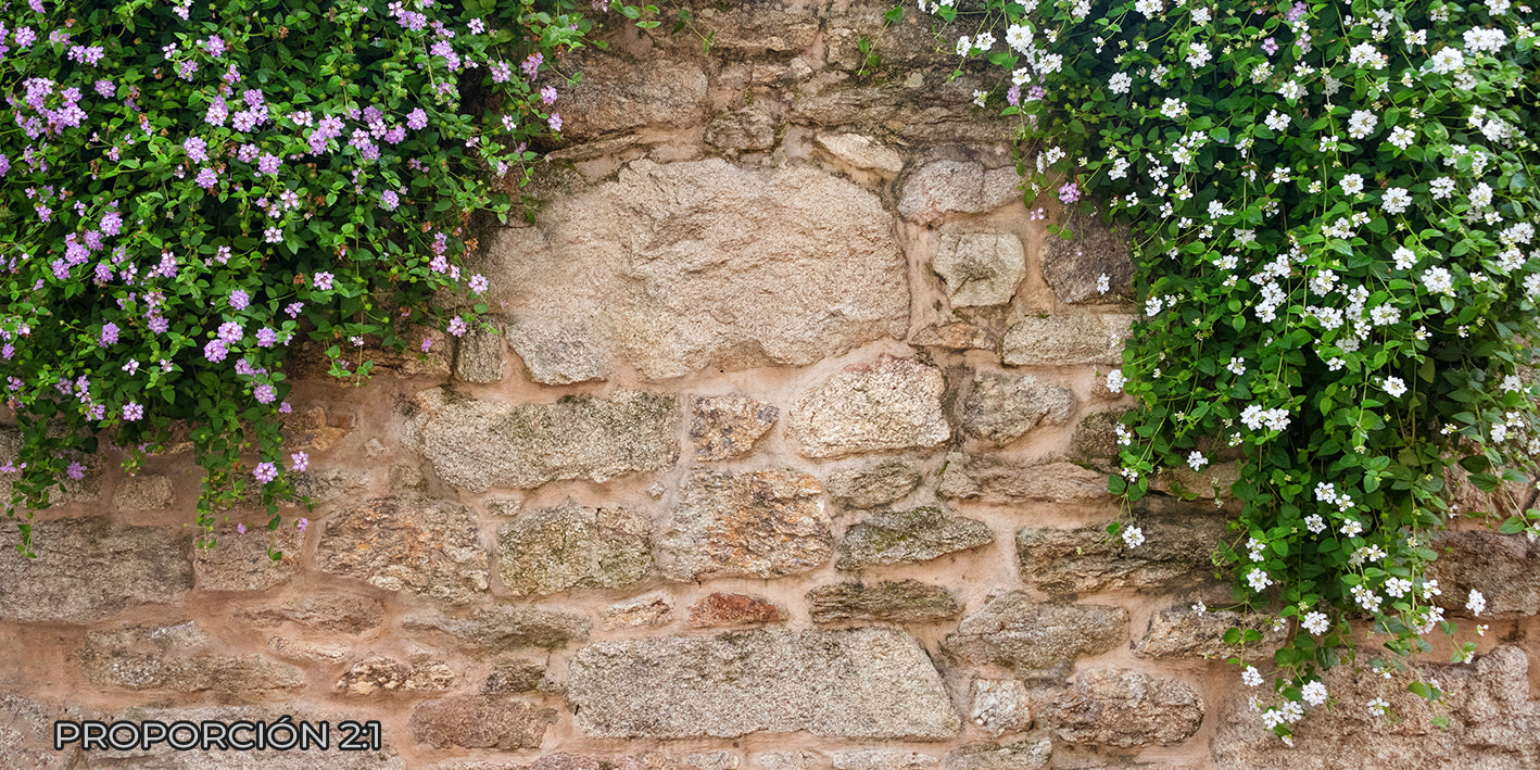 Pared - Naturaleza #4