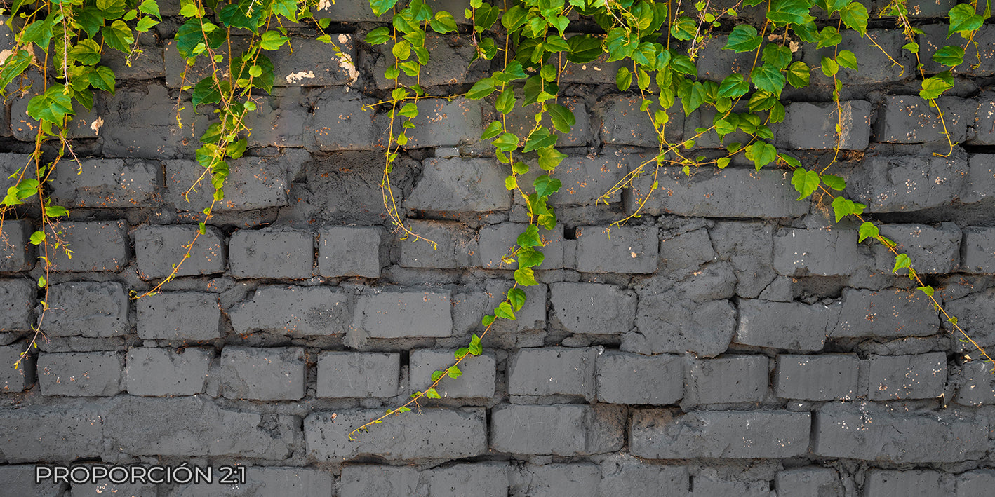 Pared - Naturaleza #6