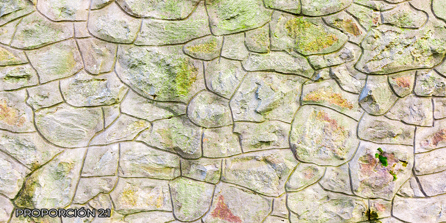 Pared - Piedra #1
