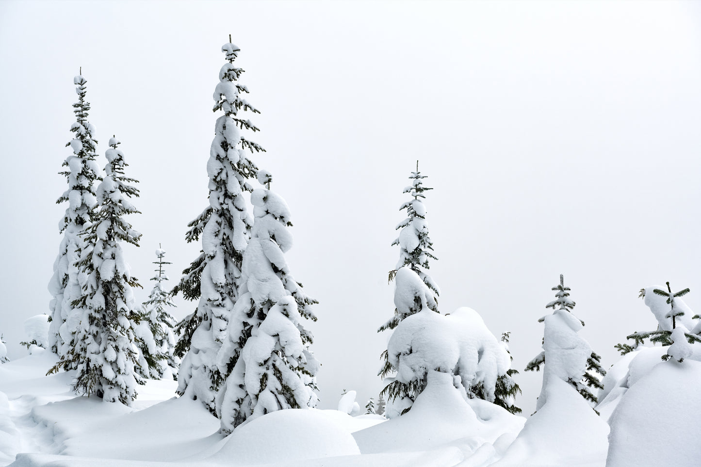 Paisaje - Invierno #6
