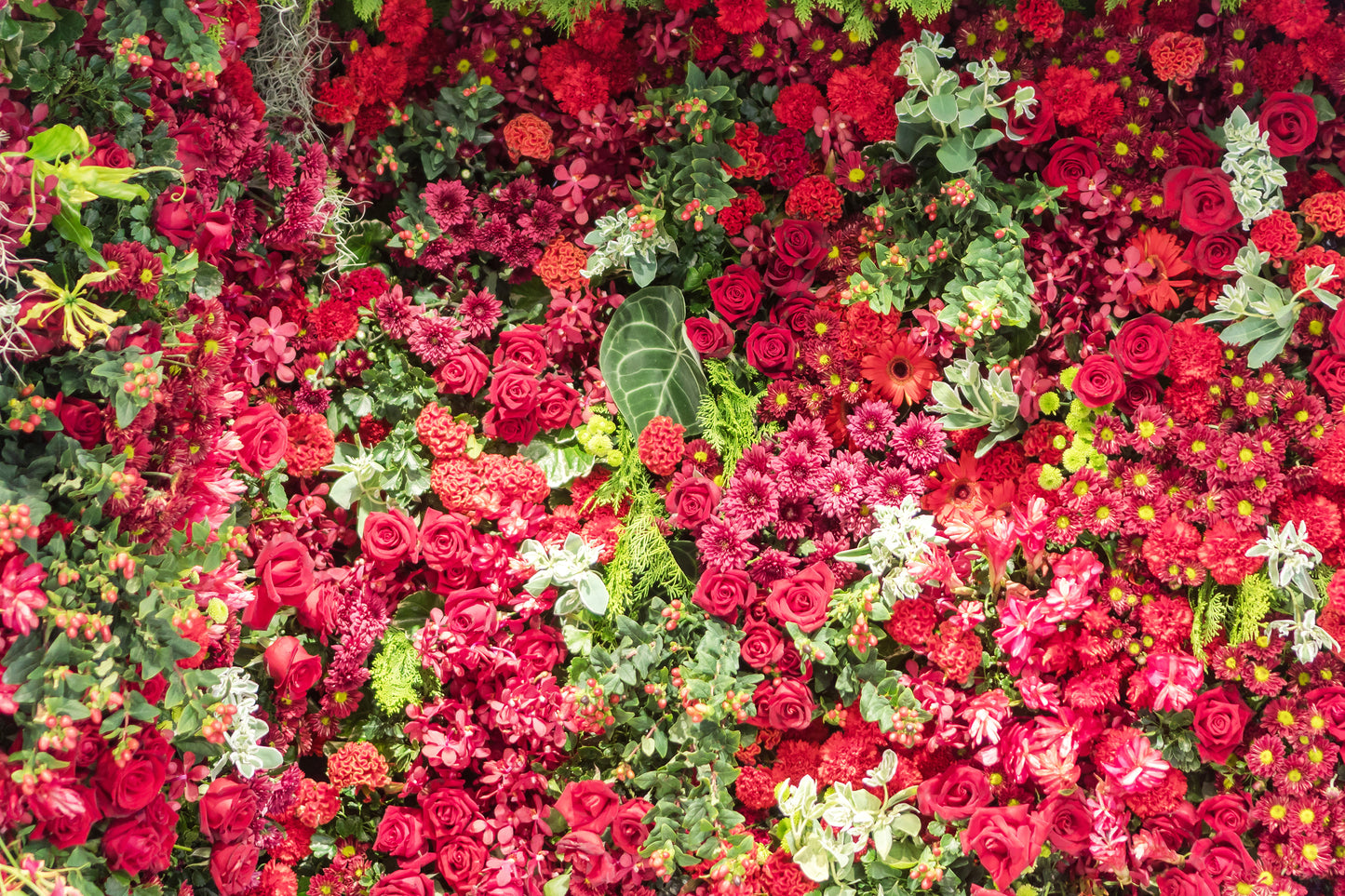 Naturaleza - Floral #3