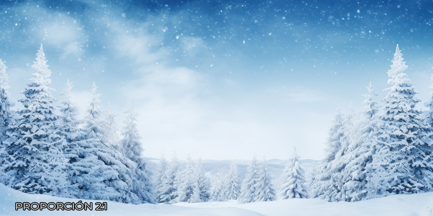 Paisaje - Invierno #10