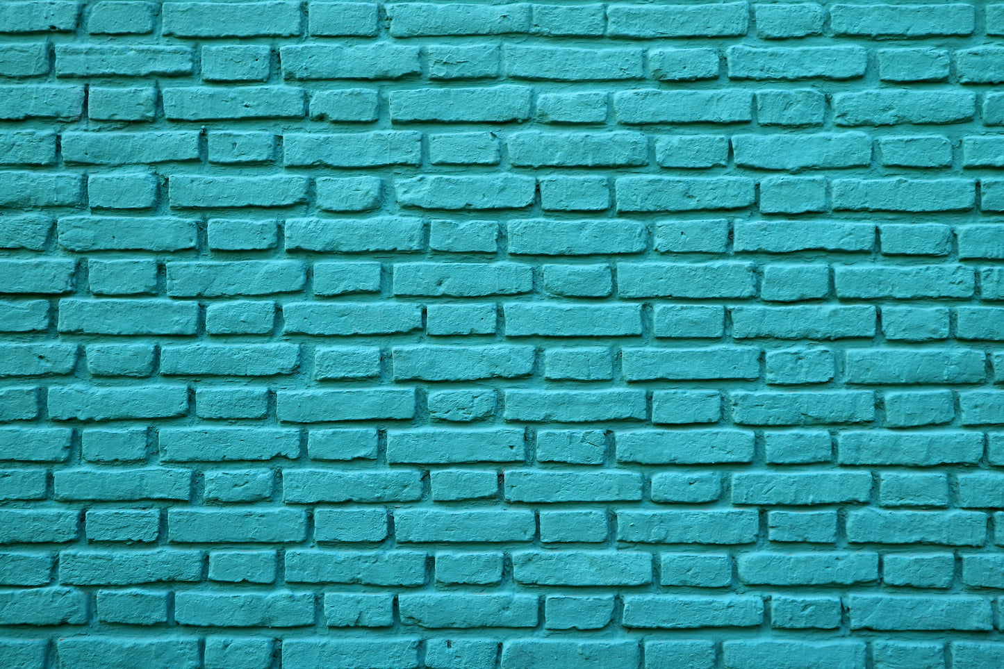 Pared - Ladrillo #22
