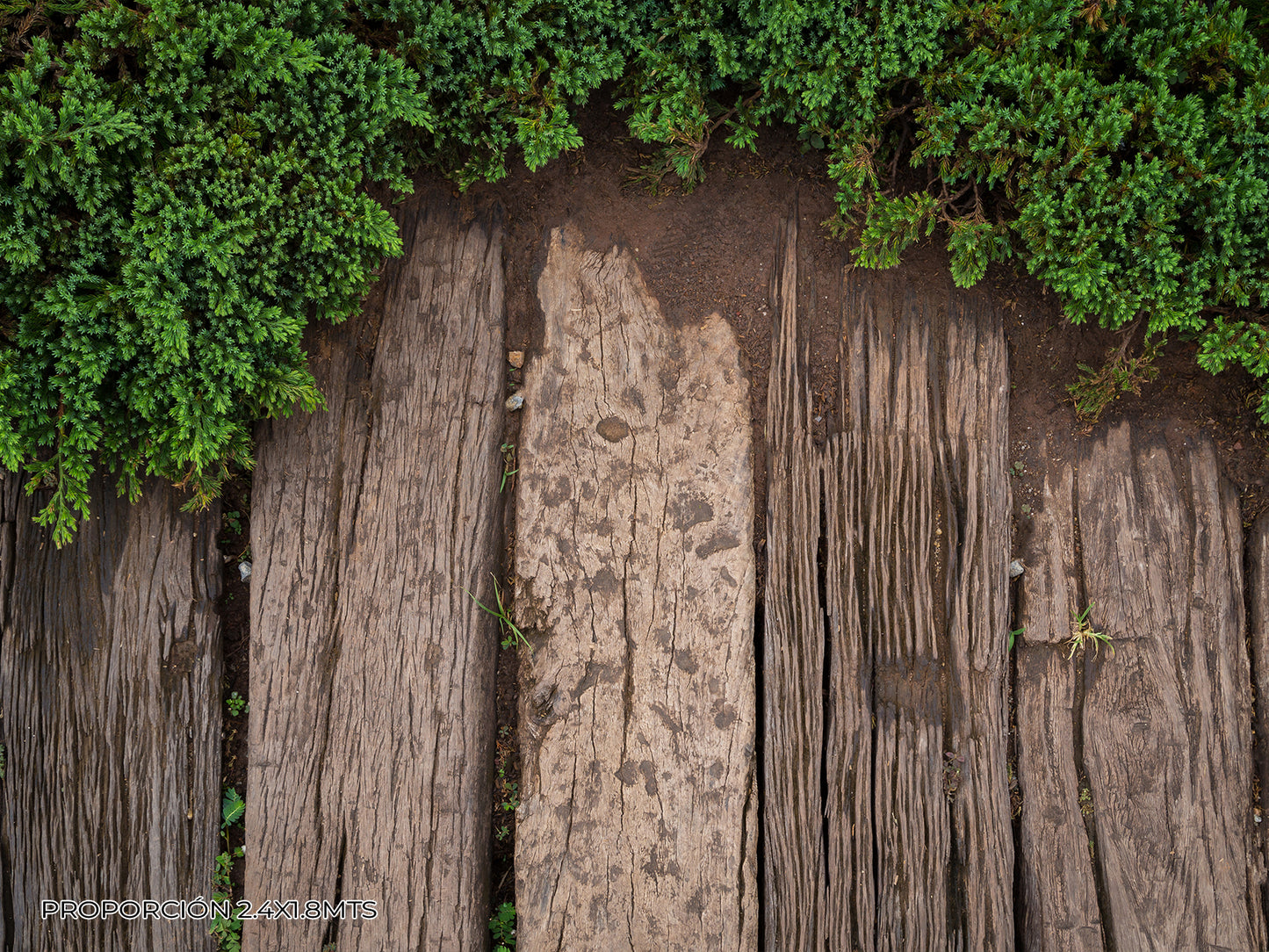 Pared - Naturaleza #11