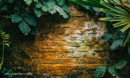 Pared - Naturaleza #1