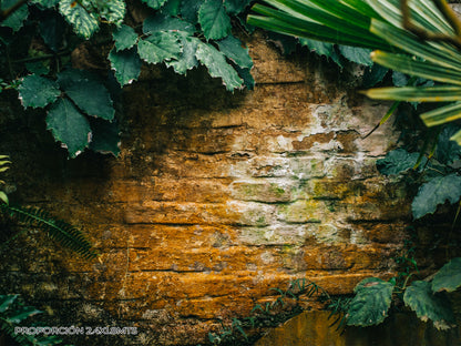 Pared - Naturaleza #1