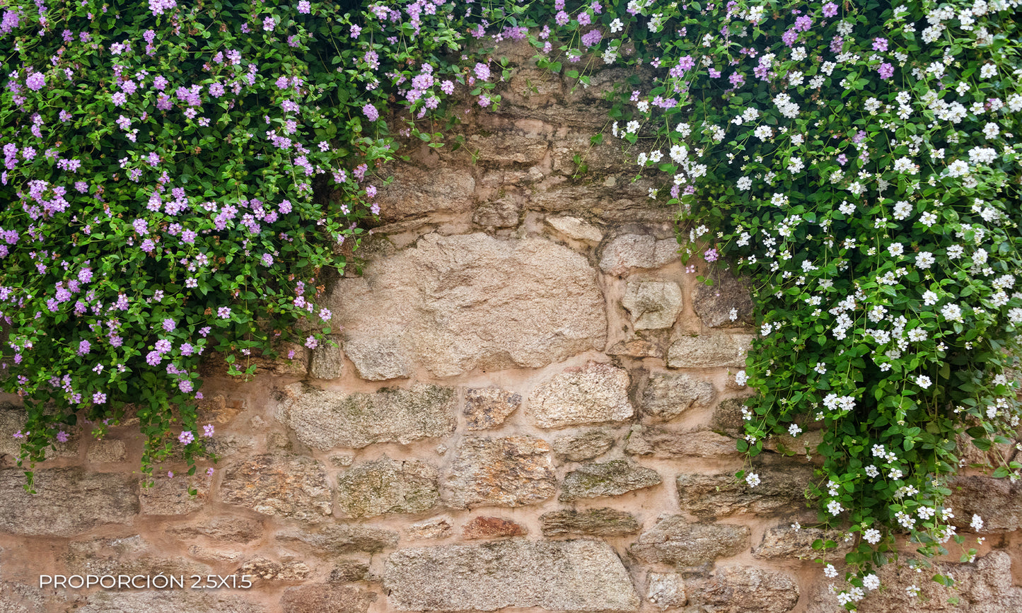 Pared - Naturaleza #4