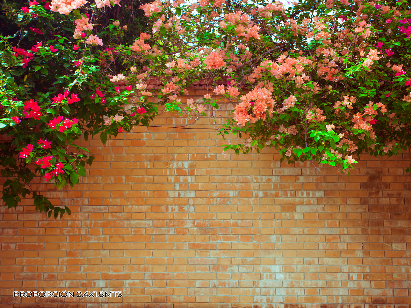 Pared - Naturaleza #5