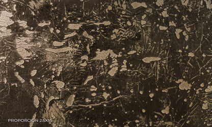 Textura - Camo #3
