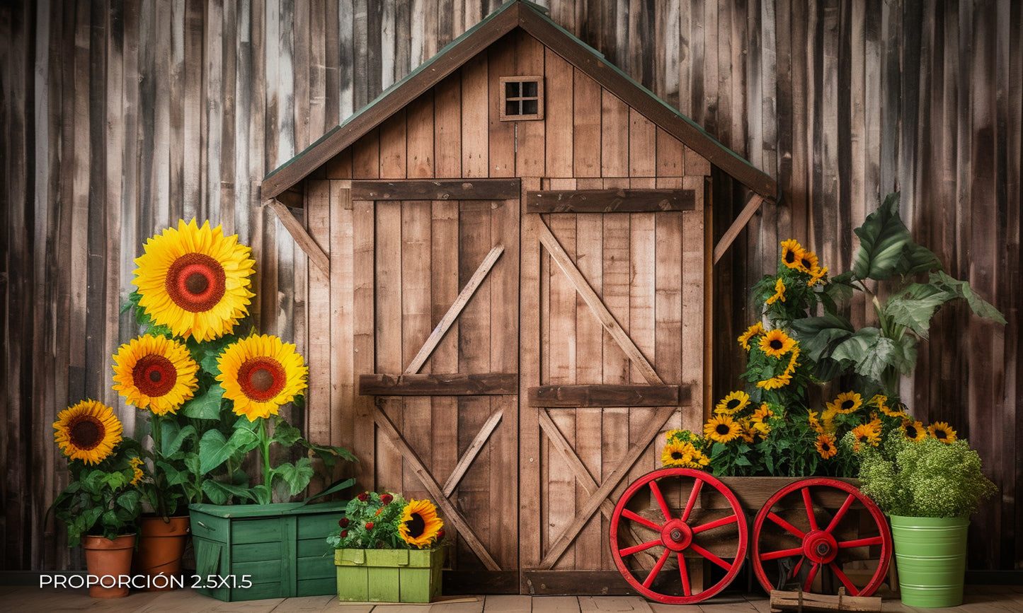 Verano - Decoración #1