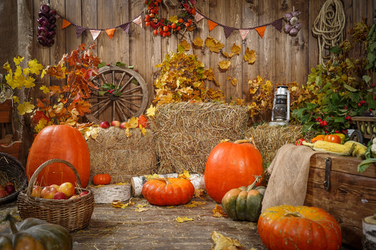 fondo para fotografia calabazas otoño octubre