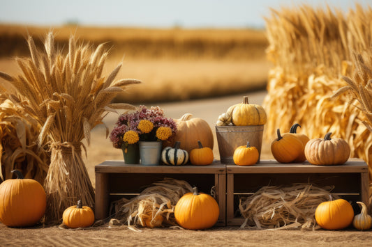 fondo para fotografia cosecha otoño