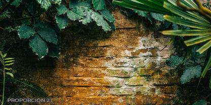 Pared - Naturaleza #1