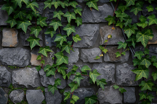 Pared - Naturaleza #8