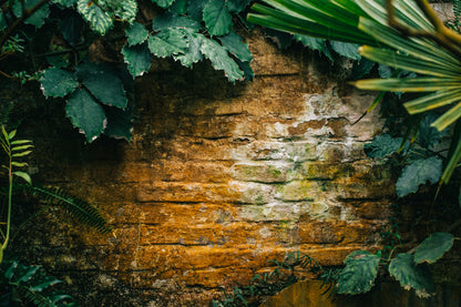 Pared - Naturaleza #1