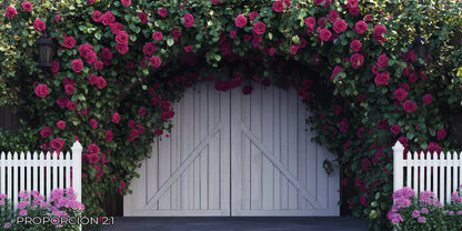 Paisaje - Flores #12